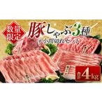 ショッピングふるさと納税 肉 ふるさと納税 宮崎県 日南市 ≪数量限定≫豚しゃぶ3種＋小間切れセット(合計4kg)　肉　豚　豚肉　国産 CA45-23