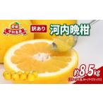 ふるさと納税 みかん�