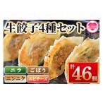 餃子 <福栄生餃子店餃子4種 ニラ