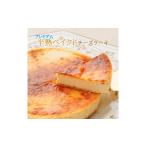 ケーキ カステラ チーズケーキ エニシダ プレミアム半熟ベ…
