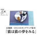 文房具 玩具 POP UP CAT 山城隆一のネコのポップアップ絵本