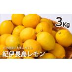 果物類 自社農園で育てた 紀伊長島レモン 3Kg