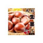 fu.... налог фрукты вид каштан Ibaraki префектура . древесный уголь ... город . древесный уголь ... город производство сырой каштан 3L размер 3kg 1437717