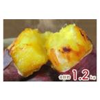 野菜類 サツマイモ 6ヶ月定期便 少し大きめサイズ
