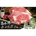 牛肉 ステーキ 全3回定期便 あか牛 ロース