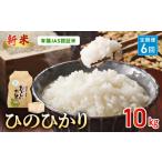 米 ヒノヒカリ R8年産米 定期便6回 那須自然農園