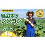 人参 大根 他根菜 こだわりのレンコン4kg
