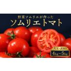 野菜類 トマト 特別栽培農産物 大玉 訳あり