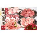 豚肉 セット 全5回 豚肉定期便_M262-T001