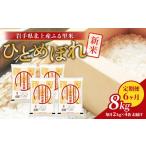 ふるさと納税 米 ひと