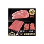 牛肉 ステーキ 毎月定期便 A5等級仙台牛