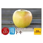 ふるさと納税 りんご 青森県 弘前市 25年10月〜発送 りんご 訳あり 家庭用 トキ 約10kg