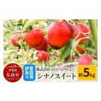 ふるさと納税 りんご 青森県 弘前市 25年10月〜発送 りんご 訳あり 家庭用 シナノスイート 約5kg