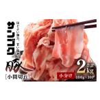 ふるさと納税 豚肉 セット 茨城県 小美玉市 ブランド豚「サンゴク豚」 小間切れセット 2kg 小間切れ 細切れ こま切れ 豚こま 豚小間 豚小間肉 小分け 2-P