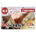惣菜 レトルト 冷凍 1週間以内に発送 博多エビ入り一口生餃…