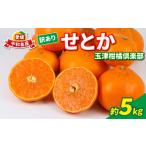 ふるさと納税 果物類 みかん 愛媛県 宇和島市 訳あり せとか 5kg 玉津柑橘倶楽部 愛媛みかん 愛媛蜜柑 愛媛ミカン 完熟 高級 大粒 限定 品種 希少 ブランド シ…
