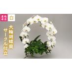花 宇都宮産 胡蝶蘭 大輪 白 サークル仕立 ラッピング不可