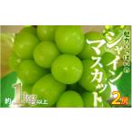 ふるさと納税 ぶどう マスカット 山梨県 大月市 シャインマスカット 2房 約 1kg 以上 2025 収穫分 山梨県産 おすすめ 人気 予約 山梨県 産地直送 フルーツ ブ…