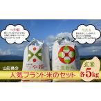 ふるさと納税 玄米 山