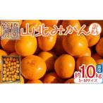 ふるさと納税 高知県 香南市 高橋農園【訳あり】山北みかん 露地(Ｓ〜Ｍ)Ｂ品 10kg - 果物 フルーツ ミカン 蜜柑 柑橘 家庭用 自宅用 新鮮 農家直送 露地 th-0…