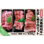 ふるさと納税 牛肉 焼肉・バーベキュー 兵庫県 南あわじ市 数量限定 牧場直売「淡路姫和牛」お試し焼き肉セット(カルビ・赤身・タン)