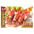 ボイル ホタルイカ 小分け 250g×2パック