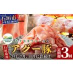 豚肉 3回定期便 石垣島産 やえやまファームのアグー豚の