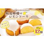 ケーキ カステラ 桜島檸檬のレモンケーキ
