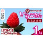 ふるさと納税 いちご 佐賀県 神埼市  令和8年1月中旬より順次発送 訳あり いちごさん 約1kg (小玉不揃い混合) 訳あり いちご イチゴ 苺 佐賀県 甘い フルーツ …
