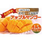 マンゴー 2027年発送 訳あり アップルマンゴー約1.5kg