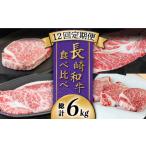 牛肉 ヒレ 牛肉定期便 豪華12回定期便 長崎 和牛 食べ比べ