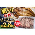 ふるさと納税 干物 アジ 神奈川県 横須賀市 漁師町佐島 真アジの開き 約2.8kgセット 干物 アジ 鯵 開き 魚 横須賀 冷凍干物 厳選干物 人気干物 干物セット 石…