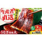 うなぎ 全3回定期便 蒲焼 大2尾 合計 320g