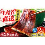 うなぎ 全12回定期便 蒲焼 大2尾 合計 320g