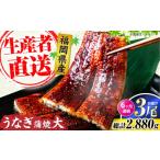 うなぎ 全6回定期便 蒲焼 大3尾 合計 480