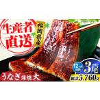 うなぎ 全12回定期便 蒲焼 大3尾 合計 480
