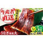 うなぎ 全3回定期便 蒲焼 大5尾 合計 800g