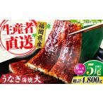 うなぎ 全6回定期便 蒲焼 大5尾 計800g