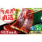 うなぎ 全12回定期便 蒲焼 大5尾 合計 800g