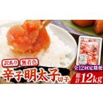 魚貝類 明太子 全12回定期便 訳あり 博多