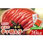 魚貝類 明太子 全6回定期便 化粧箱 包装紙付