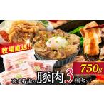 豚肉 セット 10-482 喜多牧場の豚肉3種セット