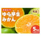 果物類 みかん 南国紀州のゆら早生みかん