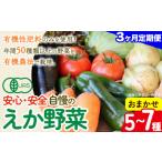 えか野菜 おまかせ5~7種セット