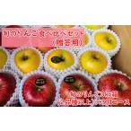 3回定期便 旬のりんご食べ比べセット 3kg×3回コース