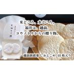 菓子 煎餅 越前新銘菓 しおとこめ 48枚入り