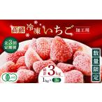 いちご 3回定期便 高級 冷凍 加工用 約1kg