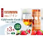 いちご 3回定期便 高級 100%ワイン Giftfromthe