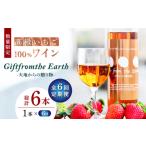 いちご 6回定期便 高級 100%ワイン Giftfromthe