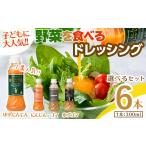 調味料 油 ドレッシング 自家製フレッシュドレッシング6本…